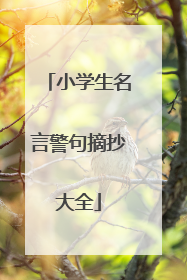 小学生名言警句摘抄大全