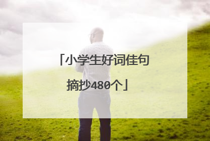 小学生好词佳句摘抄480个