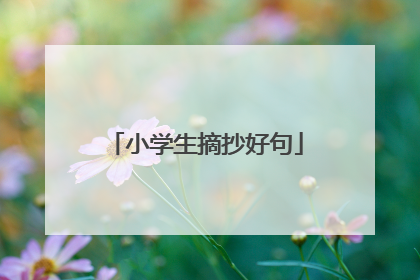 小学生摘抄好句