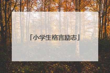 小学生格言励志