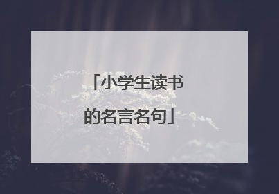 小学生读书的名言名句