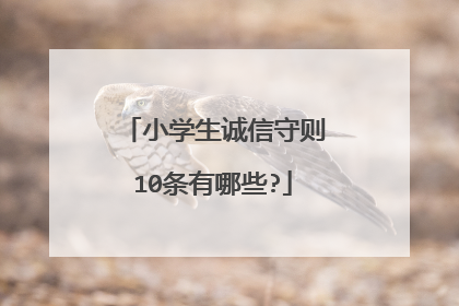 小学生诚信守则10条有哪些?