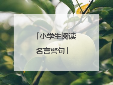 小学生阅读名言警句
