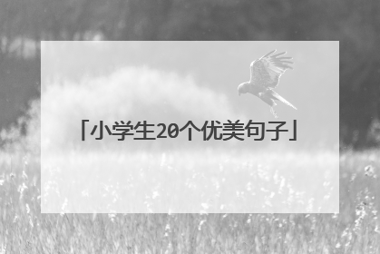 小学生20个优美句子