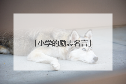 小学的励志名言