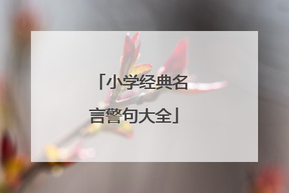 小学经典名言警句大全