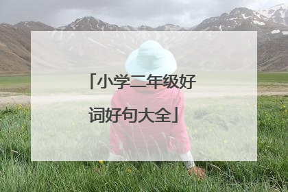 小学二年级好词好句大全