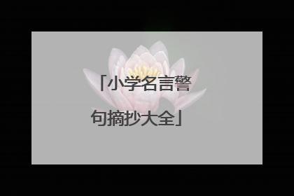 小学名言警句摘抄大全
