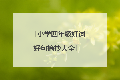 小学四年级好词好句摘抄大全