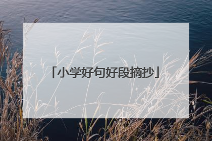 小学好句好段摘抄