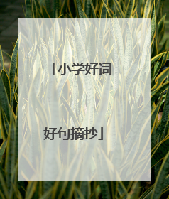 小学好词好句摘抄