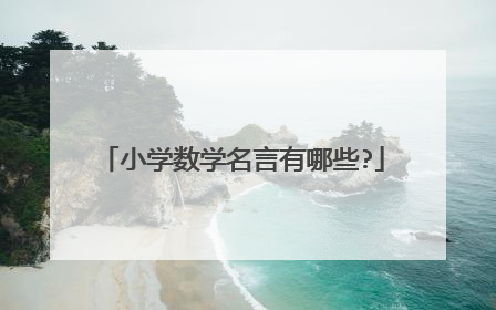 小学数学名言有哪些?