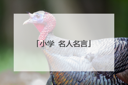 小学 名人名言