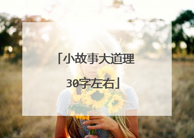 小故事大道理 30字左右