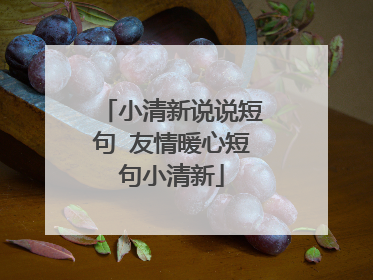小清新说说短句 友情暖心短句小清新
