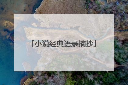 小说经典语录摘抄