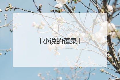 小说的语录