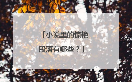 小说里的惊艳段落有哪些?