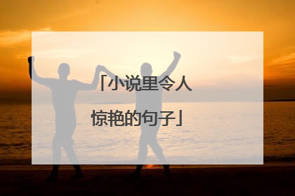小说里令人惊艳的句子