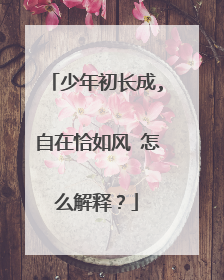 少年初长成,自在恰如风 怎么解释?