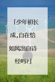 少年初长成,自在恰如风出自诗经吗?