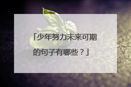 少年努力未来可期的句子有哪些？