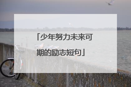 少年努力未来可期的励志短句