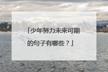少年努力未来可期的句子有哪些?