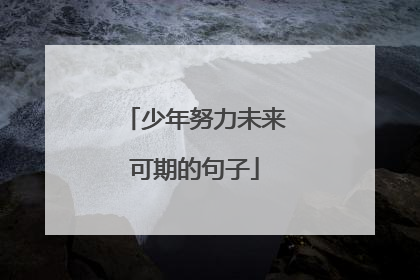 少年努力未来可期的句子