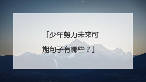 少年努力未来可期句子有哪些?