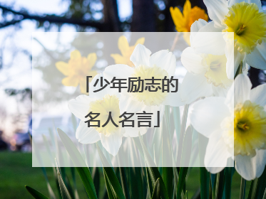 少年励志的名人名言