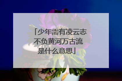 少年需有凌云志 不负黄河万古流是什么意思