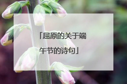 屈原的关于端午节的诗句
