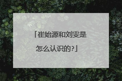 崔始源和刘雯是怎么认识的?