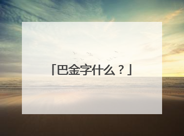 巴金字什么?