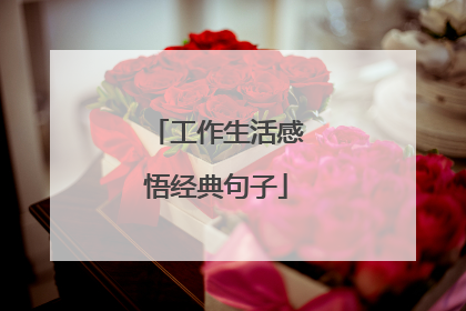 工作生活感悟经典句子