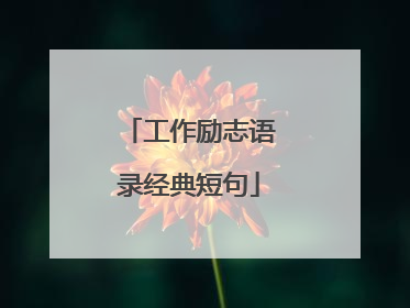 工作励志语录经典短句