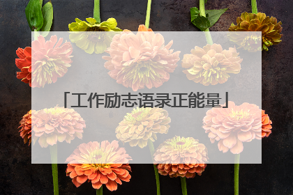 工作励志语录正能量