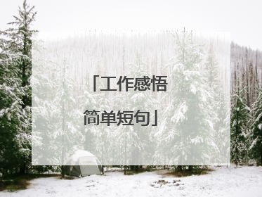 工作感悟简单短句
