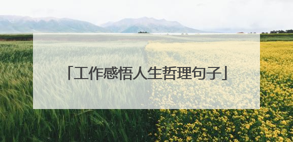 工作感悟人生哲理句子