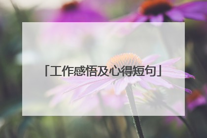 工作感悟及心得短句