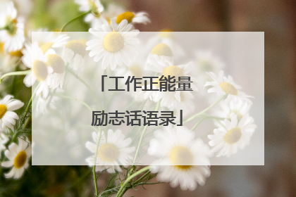 工作正能量励志话语录