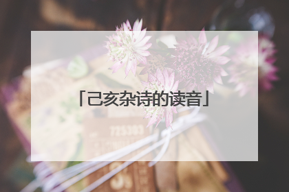 己亥杂诗的读音