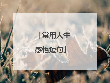 常用人生感悟短句
