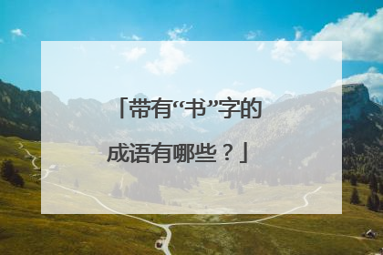 带有“书”字的成语有哪些？