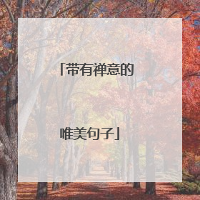 带有禅意的唯美句子