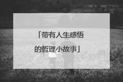 带有人生感悟的哲理小故事