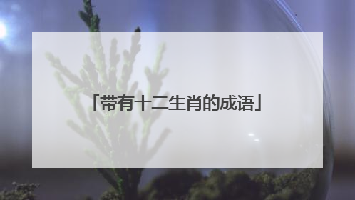 带有十二生肖的成语