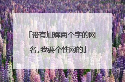 带有旭辉两个字的网名,我要个性网的