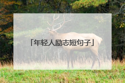 年轻人励志短句子